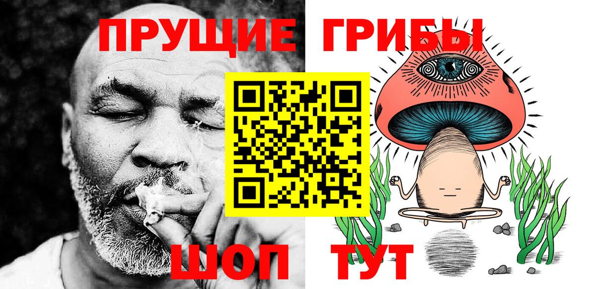 Псилоцибиновые грибы Psilocybe  магазин  наркотиков  Вход с VPN  Рославль  Псилоцибиновые грибы Cubensis 